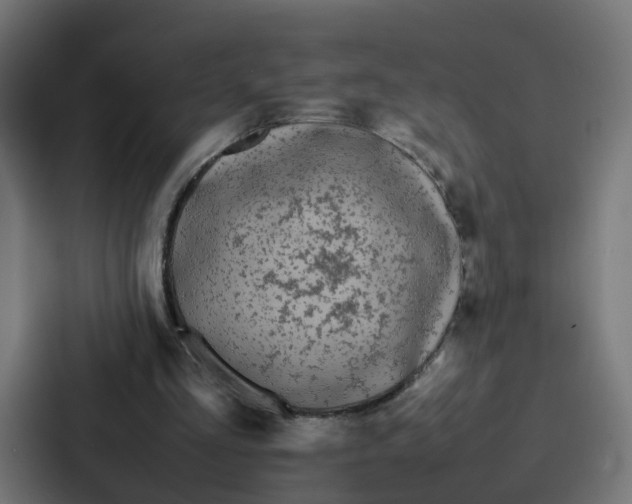 X0000087320293200705112142