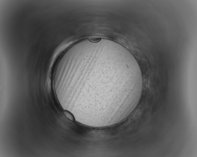 X0000087320294200705112142