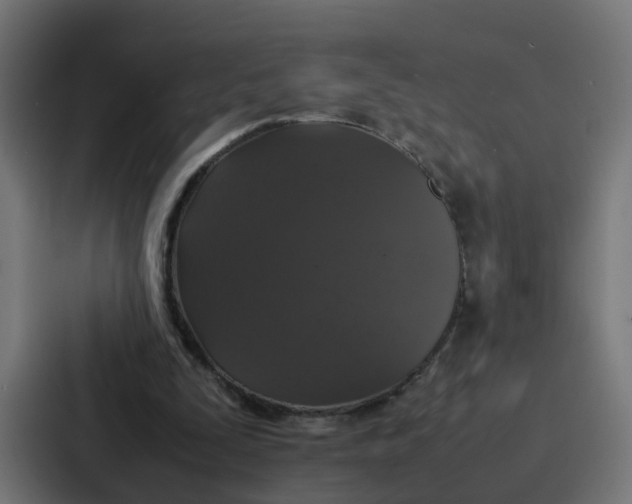 X0000087320295200705112142