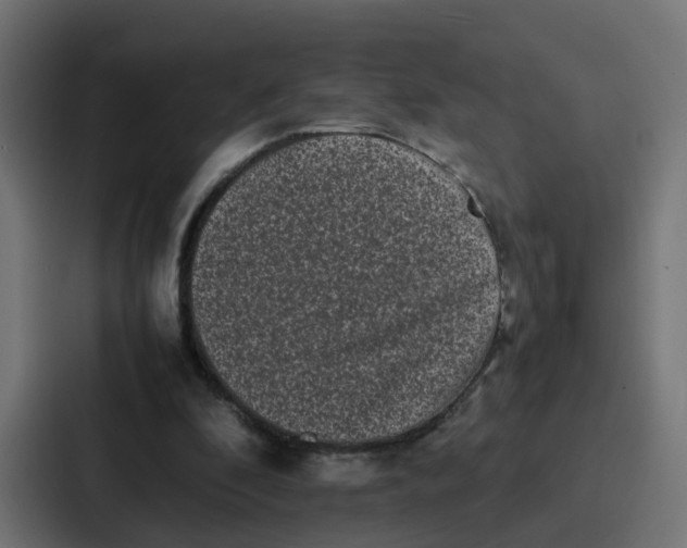 X0000087320296200705112142