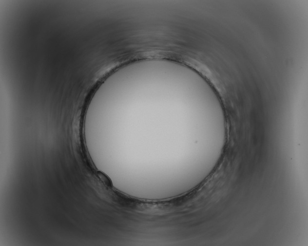 X0000087320297200705112142