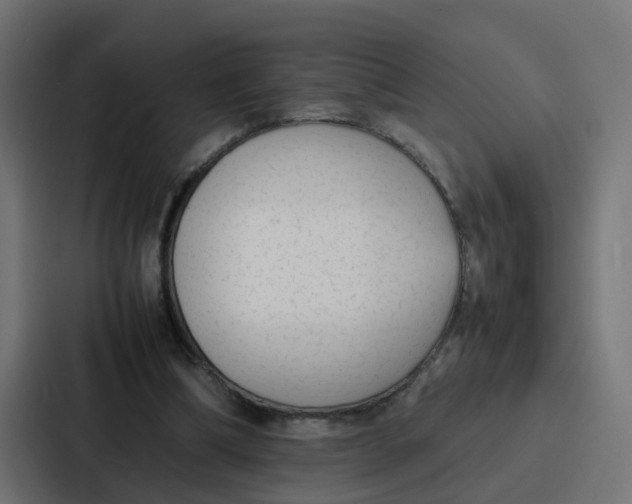 X0000087320298200705112142