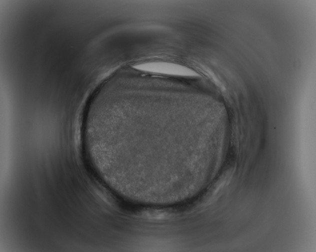 X0000087320299200705112142