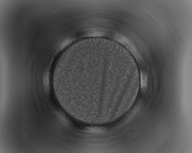 X0000087320300200705112142