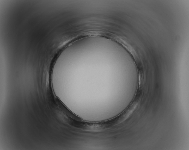 X0000087320301200705112142