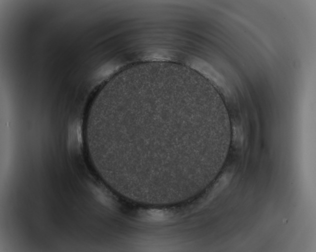 X0000087320302200705112142