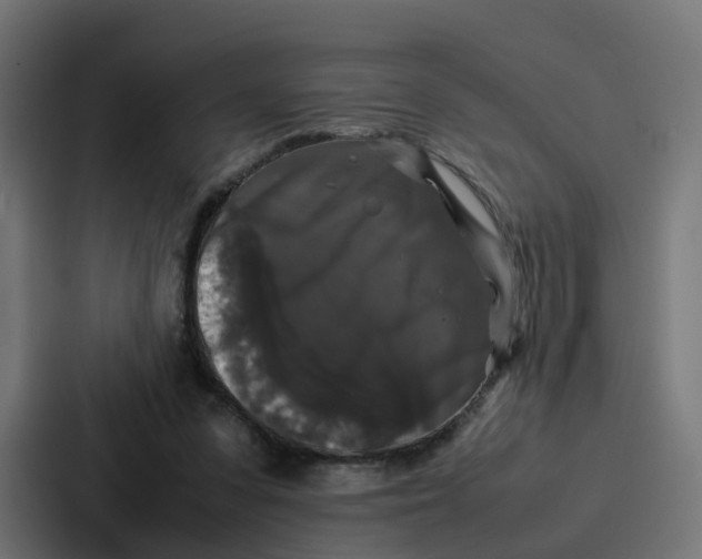 X0000087320303200705112142