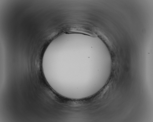 X0000087320305200705112142