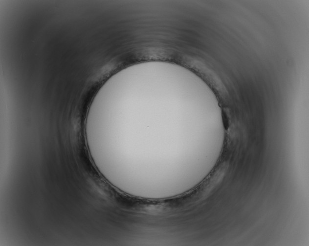 X0000087320306200705112142