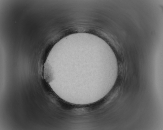 X0000087320307200705112142