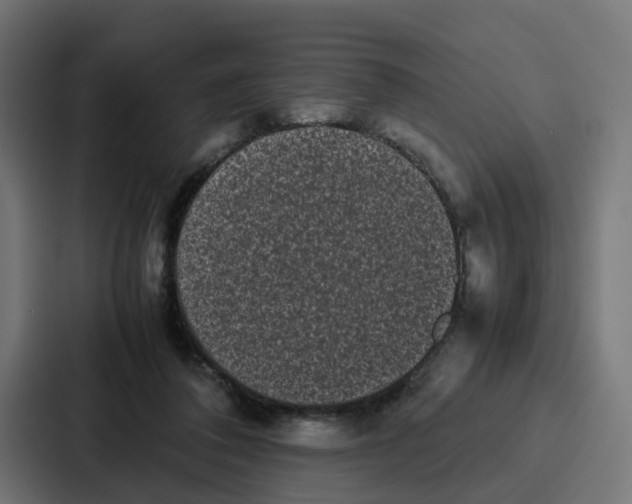 X0000087320308200705112142