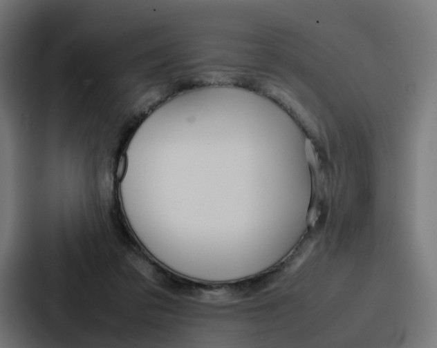 X0000087320309200705112142