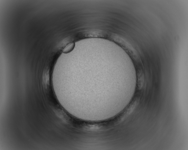 X0000087320310200705112142