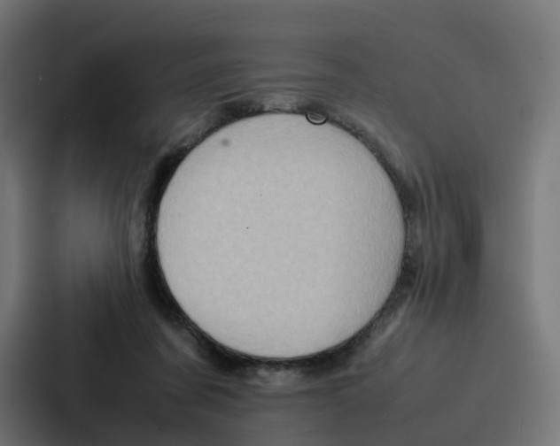 X0000087320311200705112142