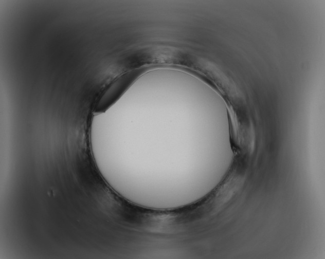 X0000087320313200705112142