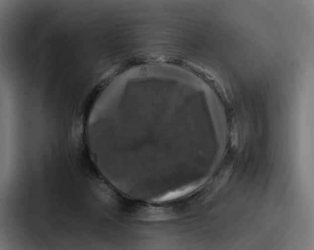 X0000087320314200705112142