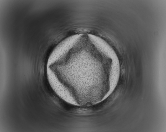 X0000087320315200705112142