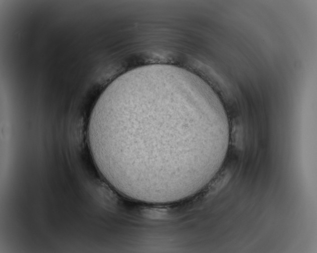 X0000087320318200705112142