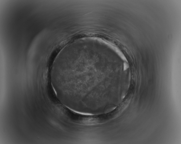 X0000087320319200705112142