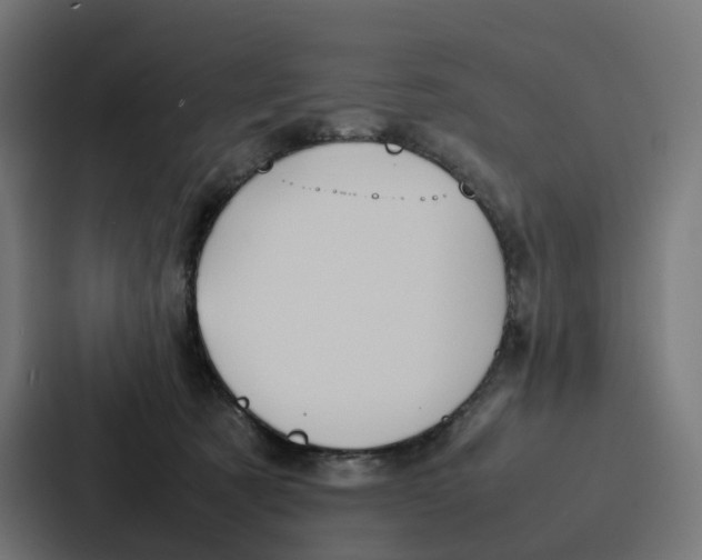 X0000087320321200705112142