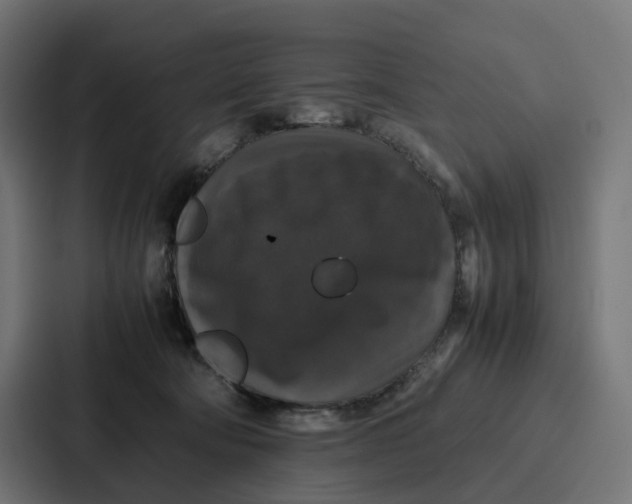 X0000087320322200705112142