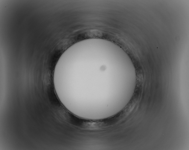 X0000087320323200705112142