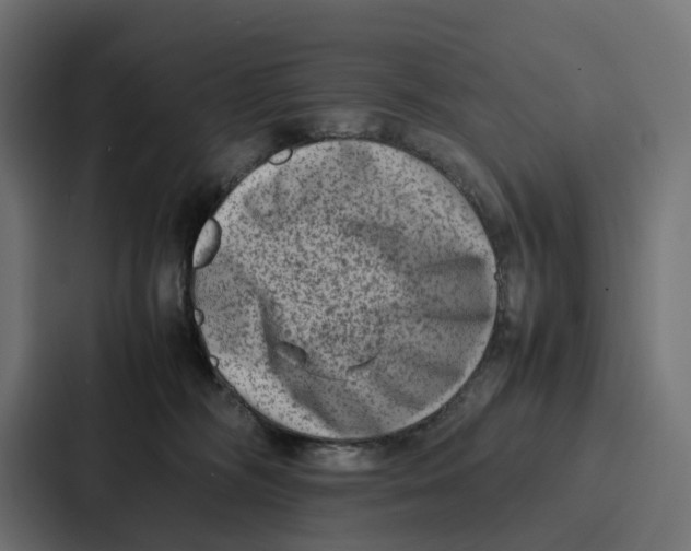 X0000087320326200705112142