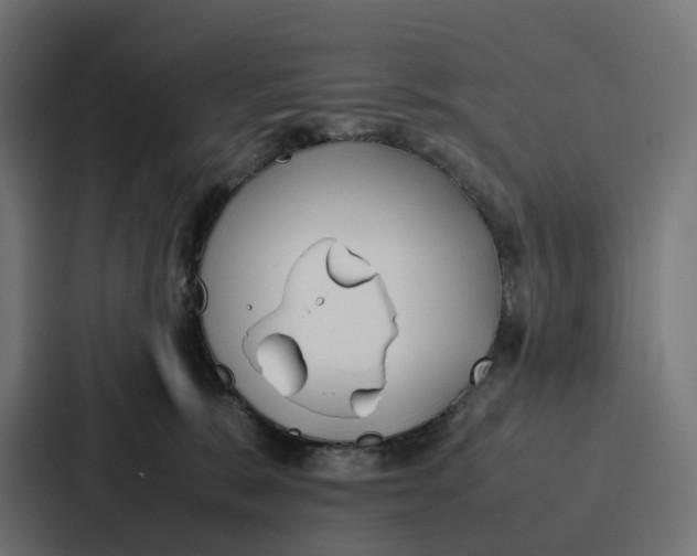 X0000087320327200705112142