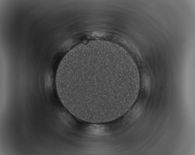 X0000087320328200705112142