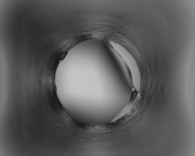 X0000087320329200705112142