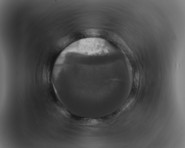 X0000087320330200705112142