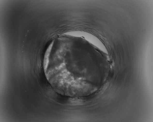 X0000087320331200705112142