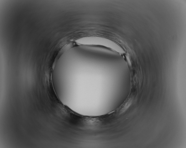 X0000087320333200705112142