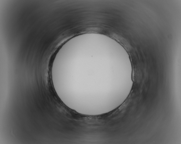 X0000087320338200705112141