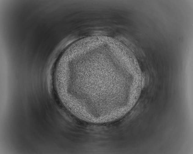 X0000087320339200705112141