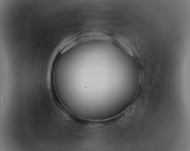 X0000087320340200705112141