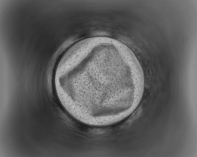 X0000087320341200705112141