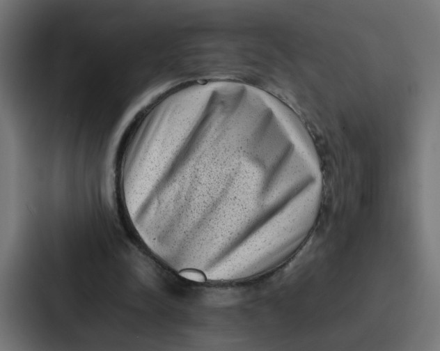 X0000087320342200705112141