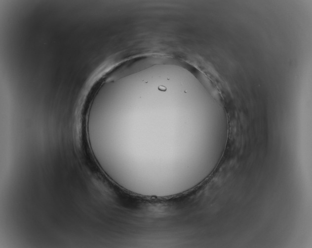 X0000087320344200705112141