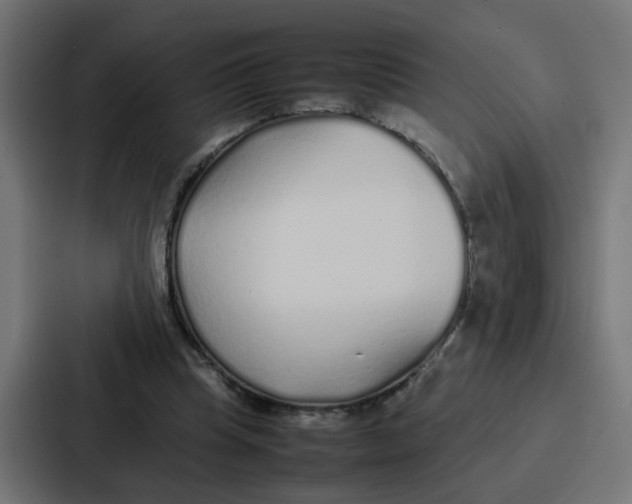 X0000087320345200705112141