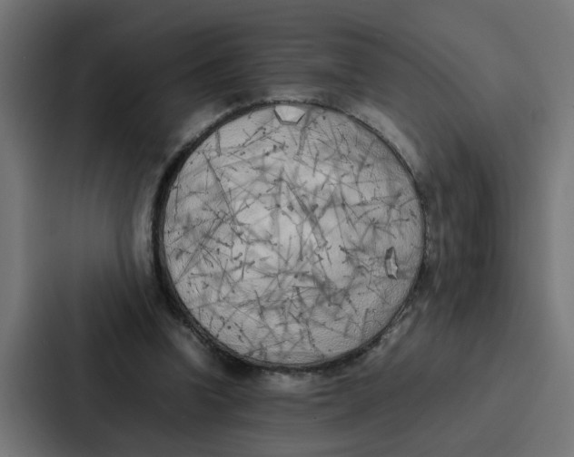 X0000087320346200705112141