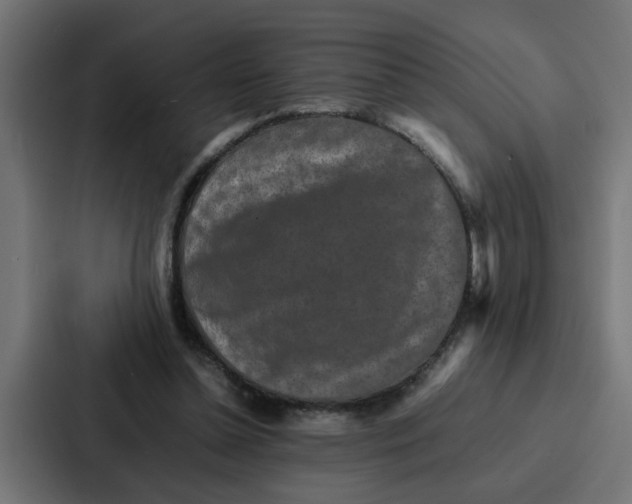 X0000087320348200705112141