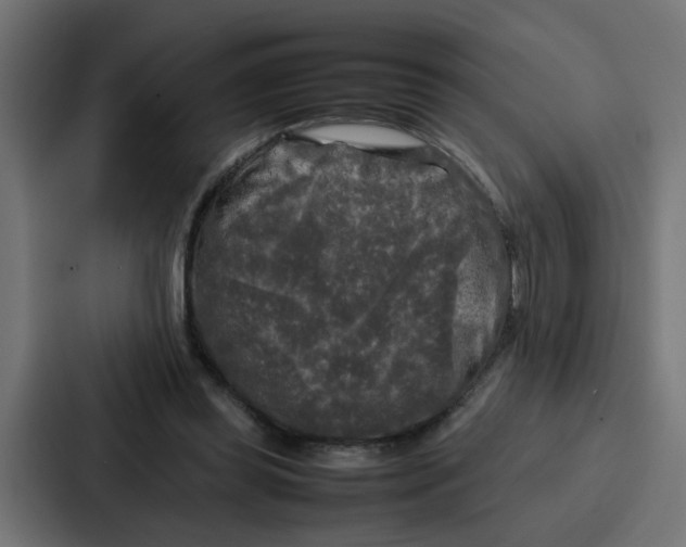 X0000087320349200705112141