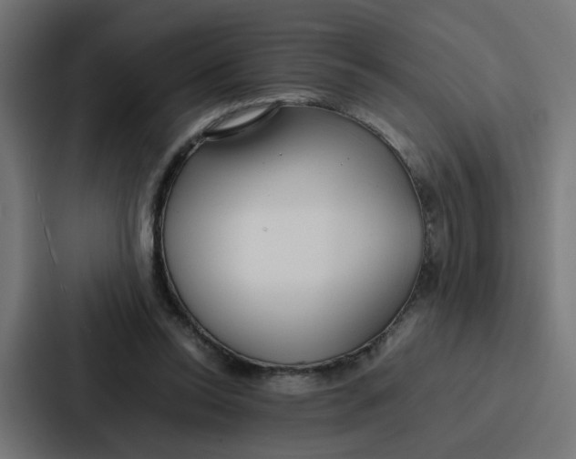 X0000087320350200705112141