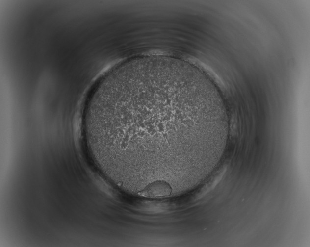 X0000087320351200705112141