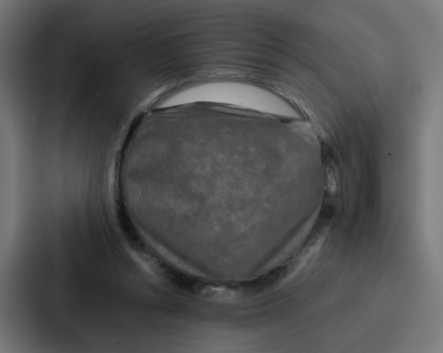 X0000087320352200705112141