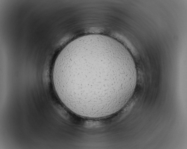 X0000087320354200705112141