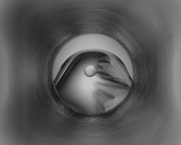 X0000087320356200705112141