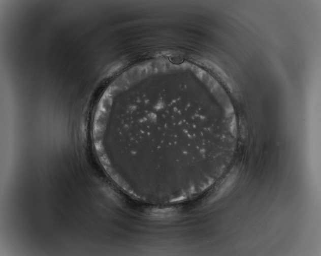 X0000087320357200705112141