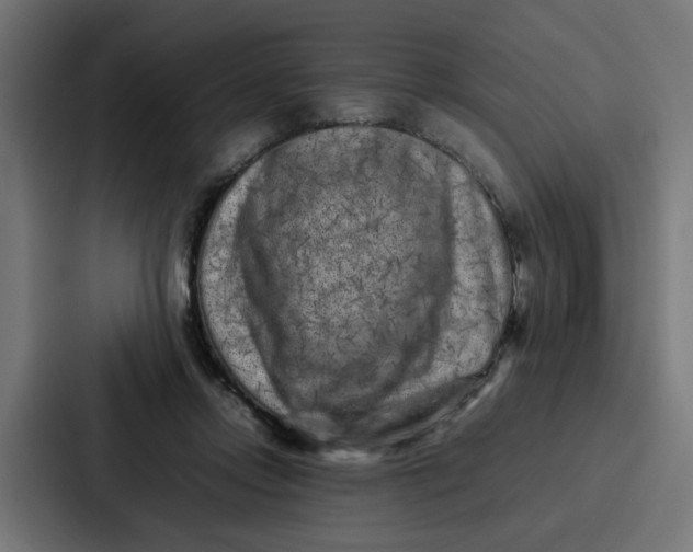 X0000087320358200705112141